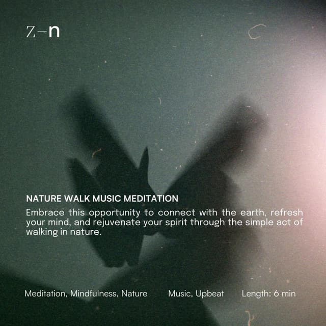 Nature Walk Music Meditation — artwork